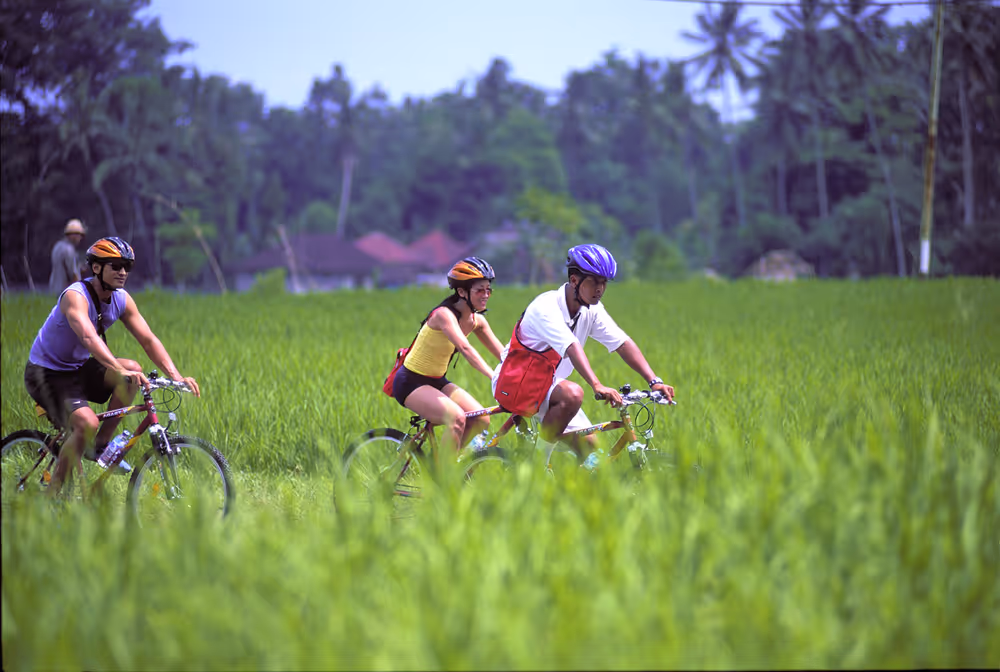  © Copyright Maya Ubud 