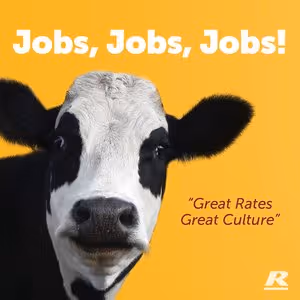 jobs_ jobs_ jobs.jpg