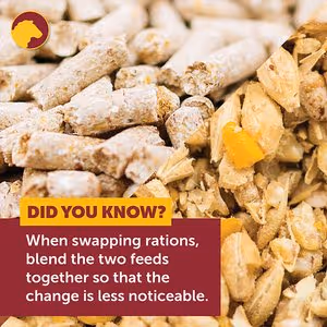 Feed Did you know.jpg