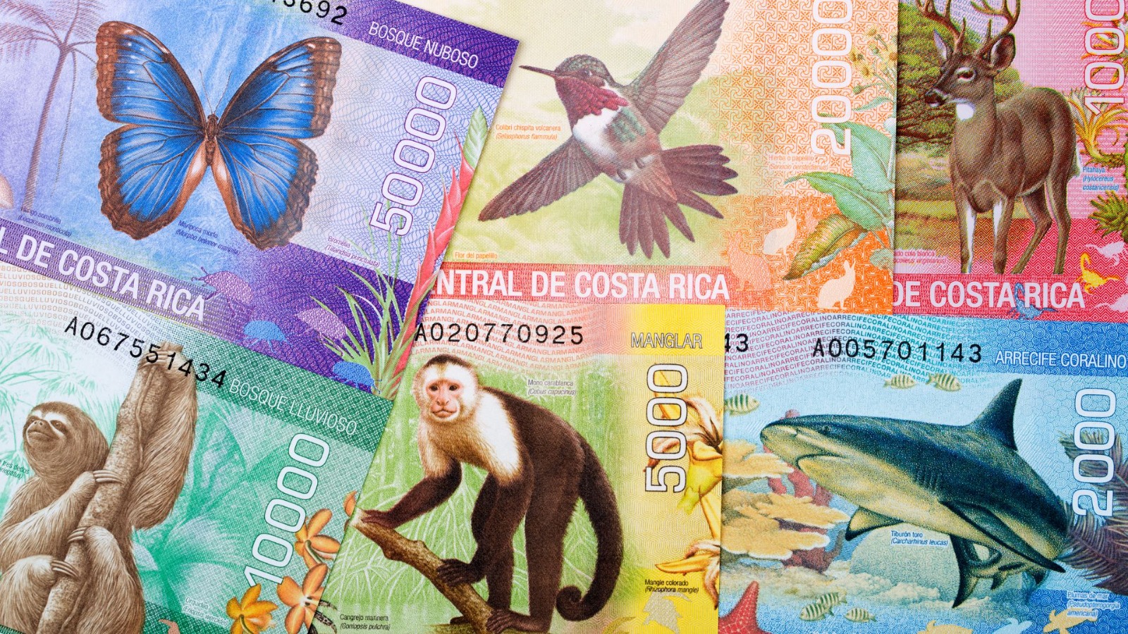 Diversificar fuentes de ingresos y patrimonio cobra relevancia en el actual contexto cambiario