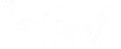 CPV Media logo