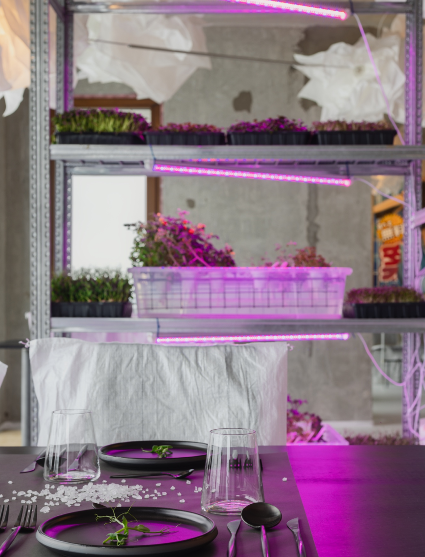 VENUE 54 — pop-up restaurant in Riga, Latvia, view 9