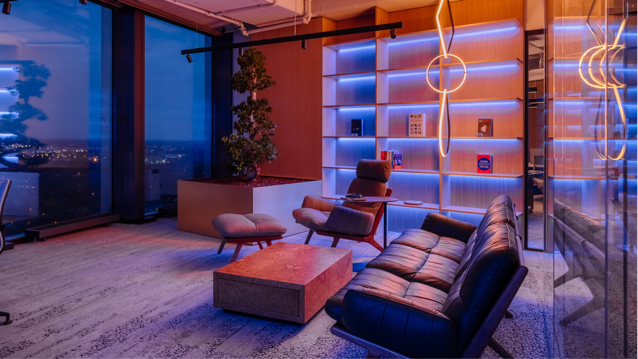 THE INTELLIGENT VC — office in Riga, Latvia, view 19