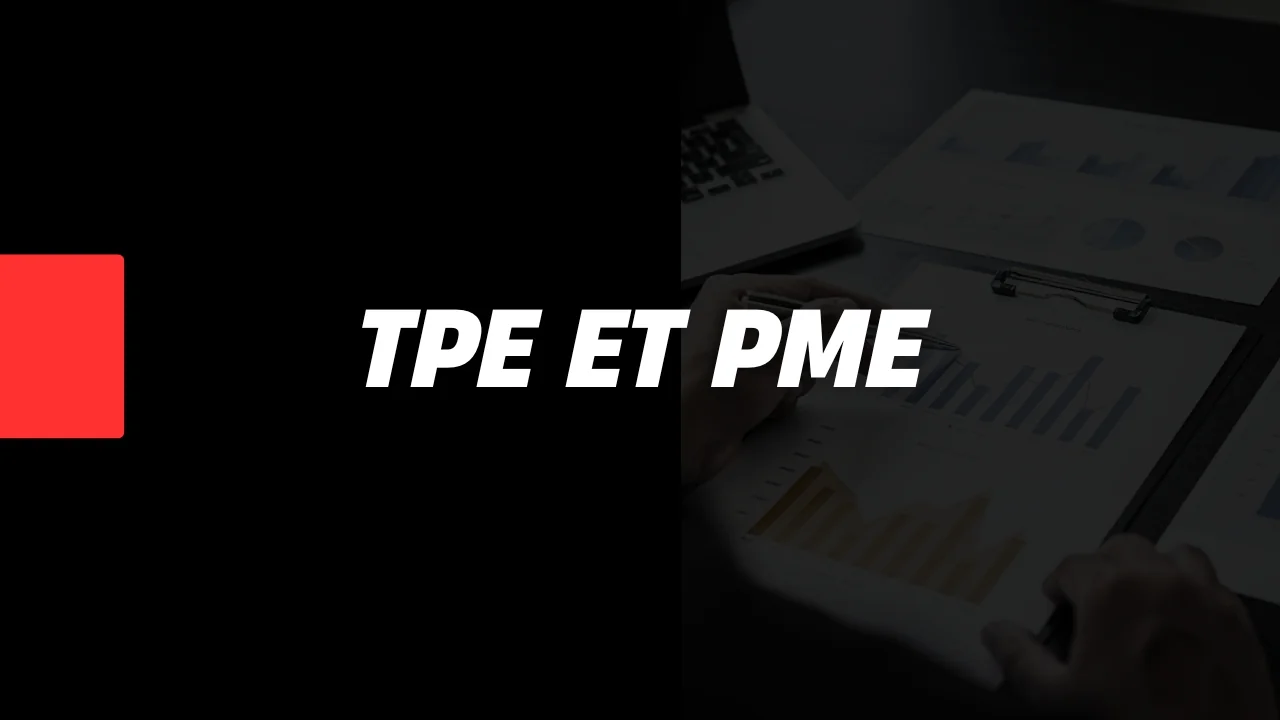 Journée de consulting business pour TPE et PME avec analyse de tableaux de bord financiers