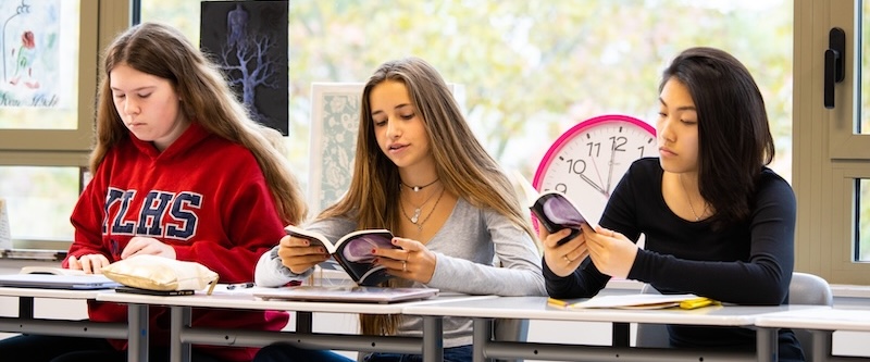 What are AP classes and why do they matter for university admissions?