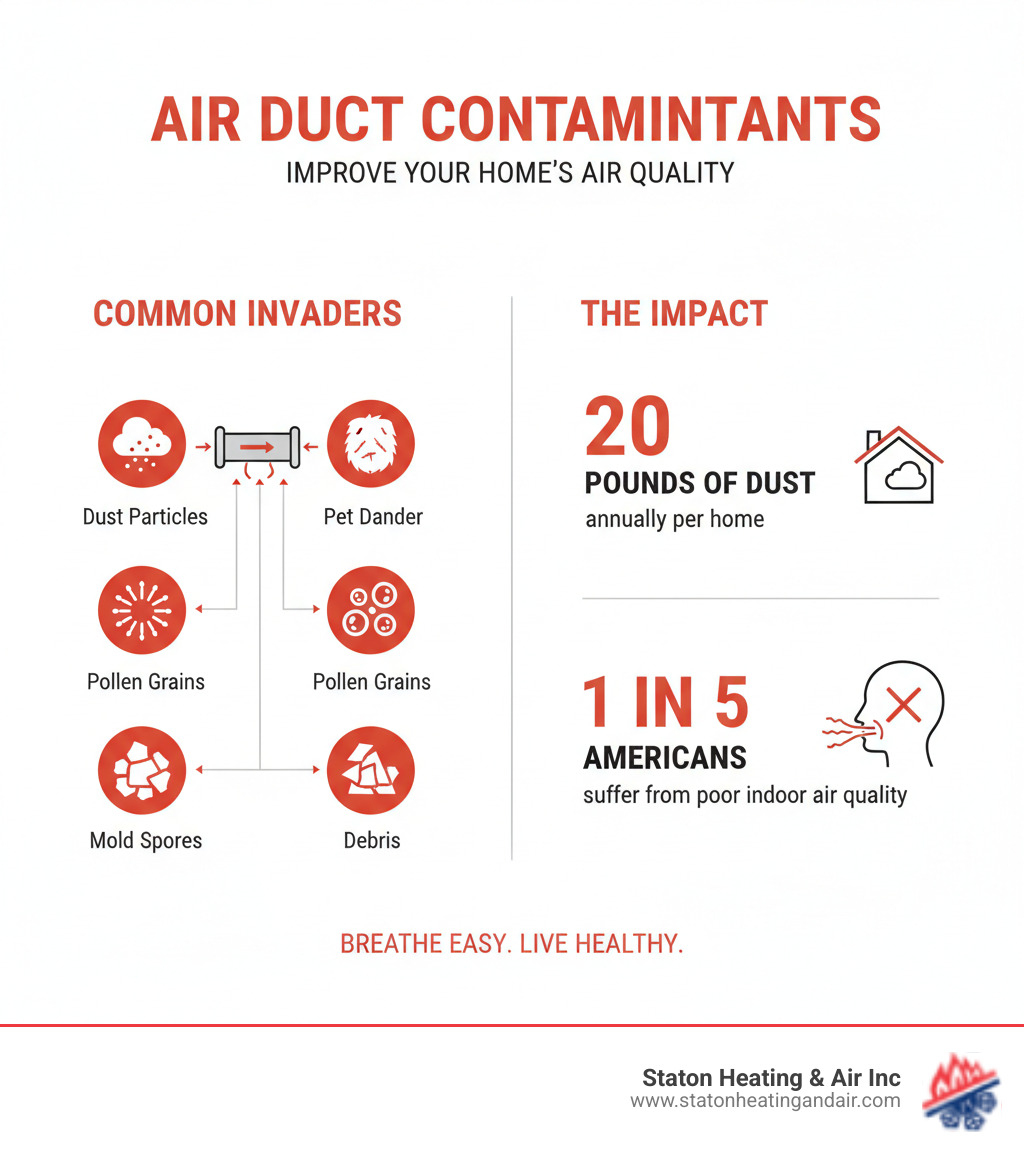 Infographic showing common air duct contaminants including dust particles, pet dander, pollen grains, mold spores, and debris, with statistics showing that the average home generates 20 pounds of dust annually and 1 in 5 Americans suffer from poor indoor air quality - duct cleaning alpharetta ga infographic Infographic showing common air duct contaminants including dust particles, pet dander, pollen grains, mold spores, and debris, with statistics showing that the average home generates 20 pounds of dust annually and 1 in 5 Americans suffer from poor indoor air quality - duct cleaning alpharetta ga infographic
