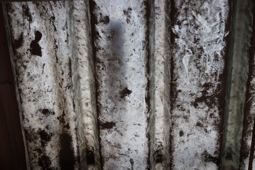 Is Your AC Growing a Science Project? Signs of HVAC Mold