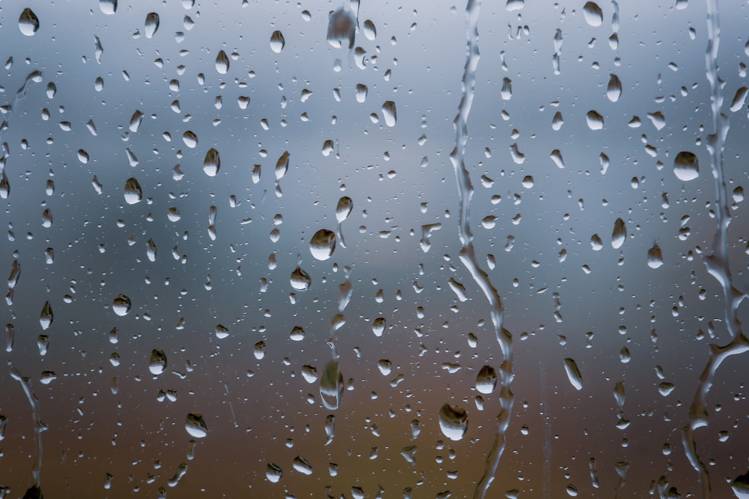 How to Prevent Mold with Humidity Control
