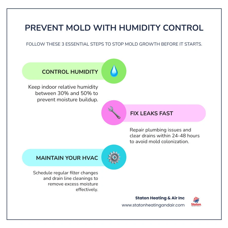 Infographic summarizing mold prevention tips: Check humidity, fix leaks, vent fans, and schedule HVAC maintenance infographic
