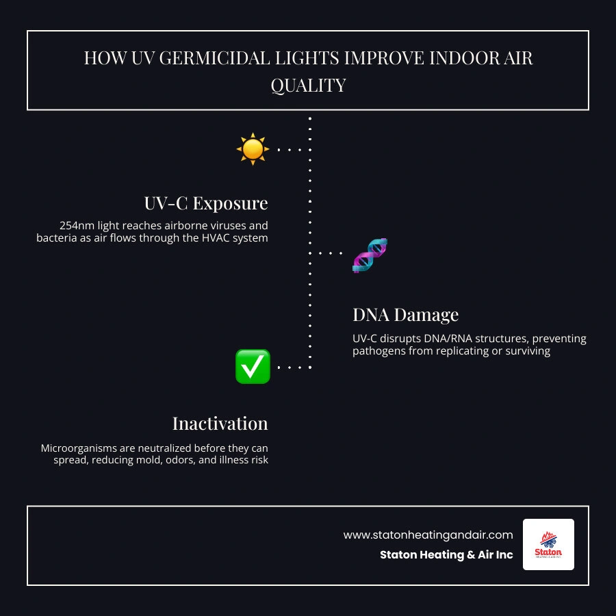 Infographic showing how UV-C light at 254nm destroys airborne pathogens in HVAC systems to improve indoor air quality Infographic showing how UV-C light at 254nm destroys airborne pathogens in HVAC systems to improve indoor air quality
