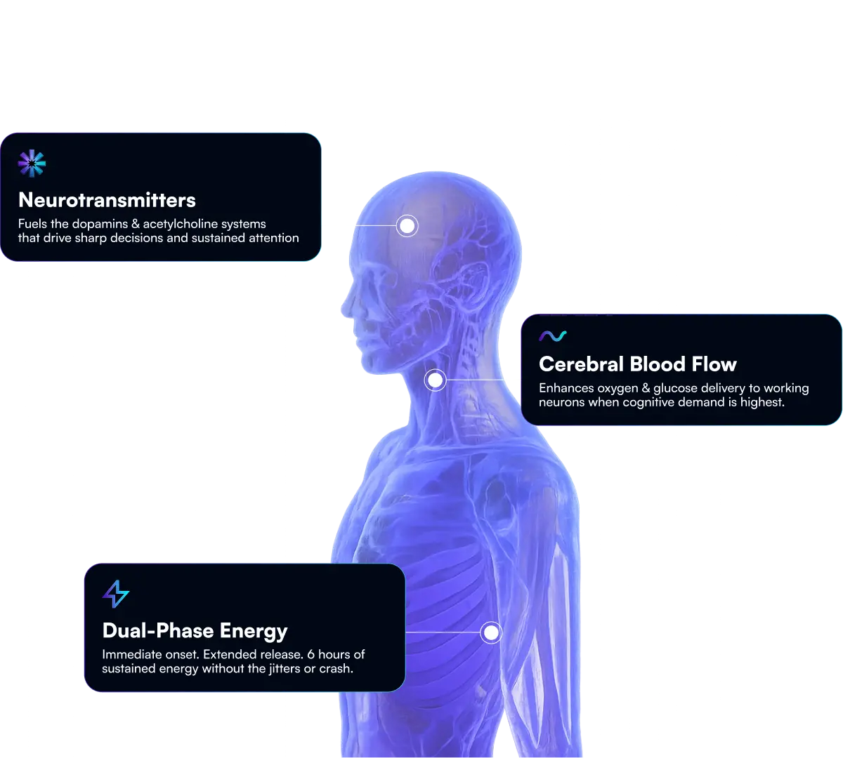 Brain optimization diagram with anatomical skeleton