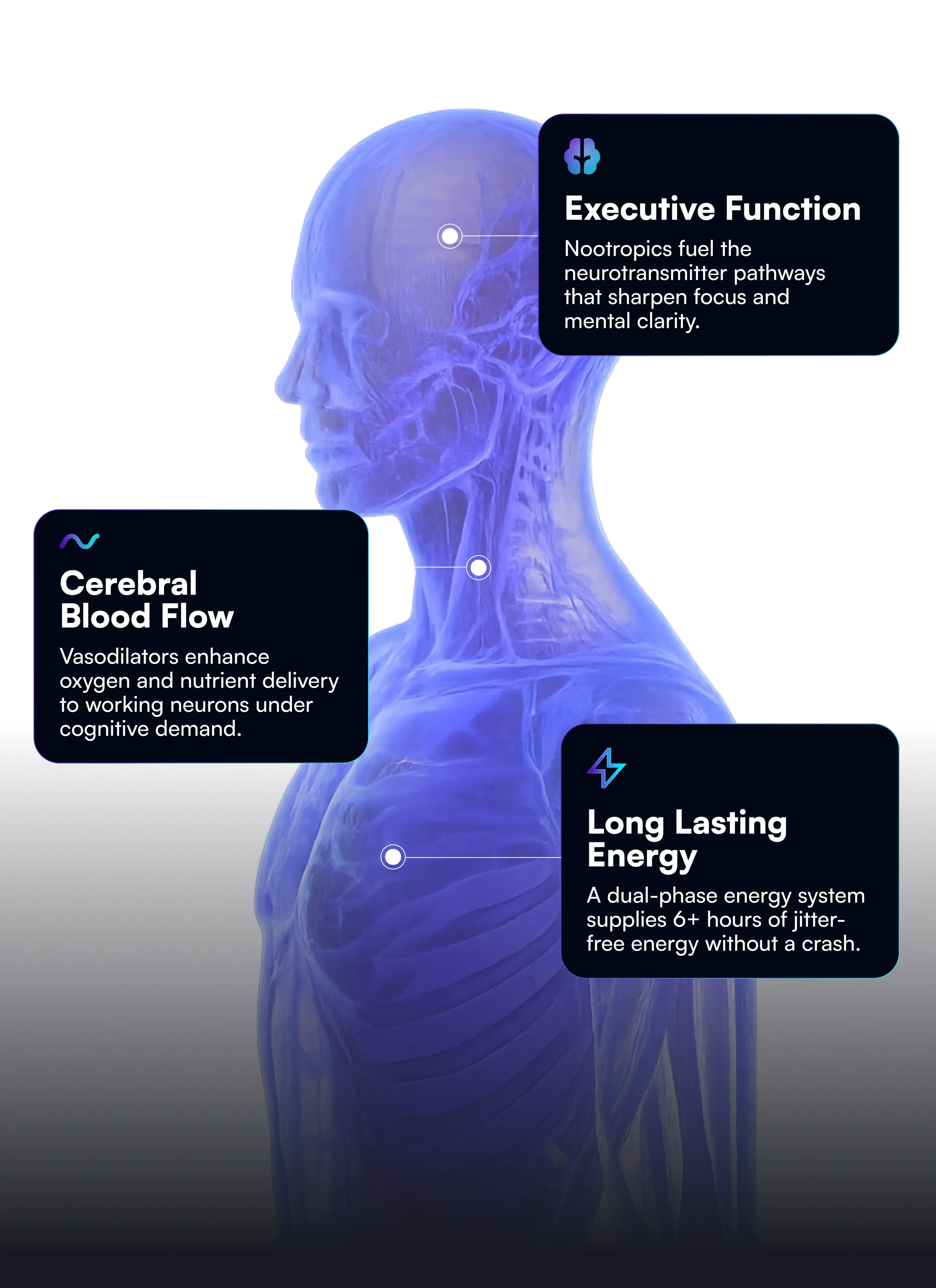 Flowstate mobile brain chemistry graphic