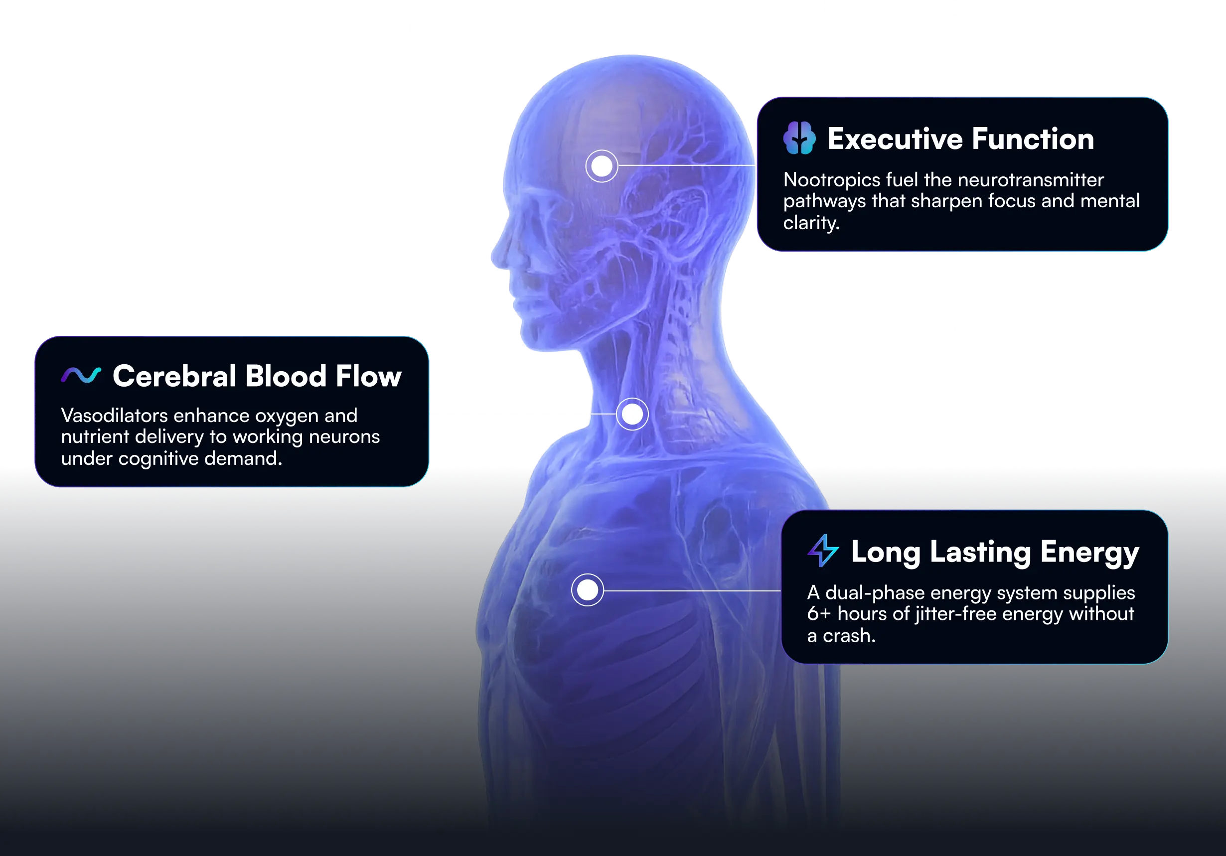 Brain optimization diagram