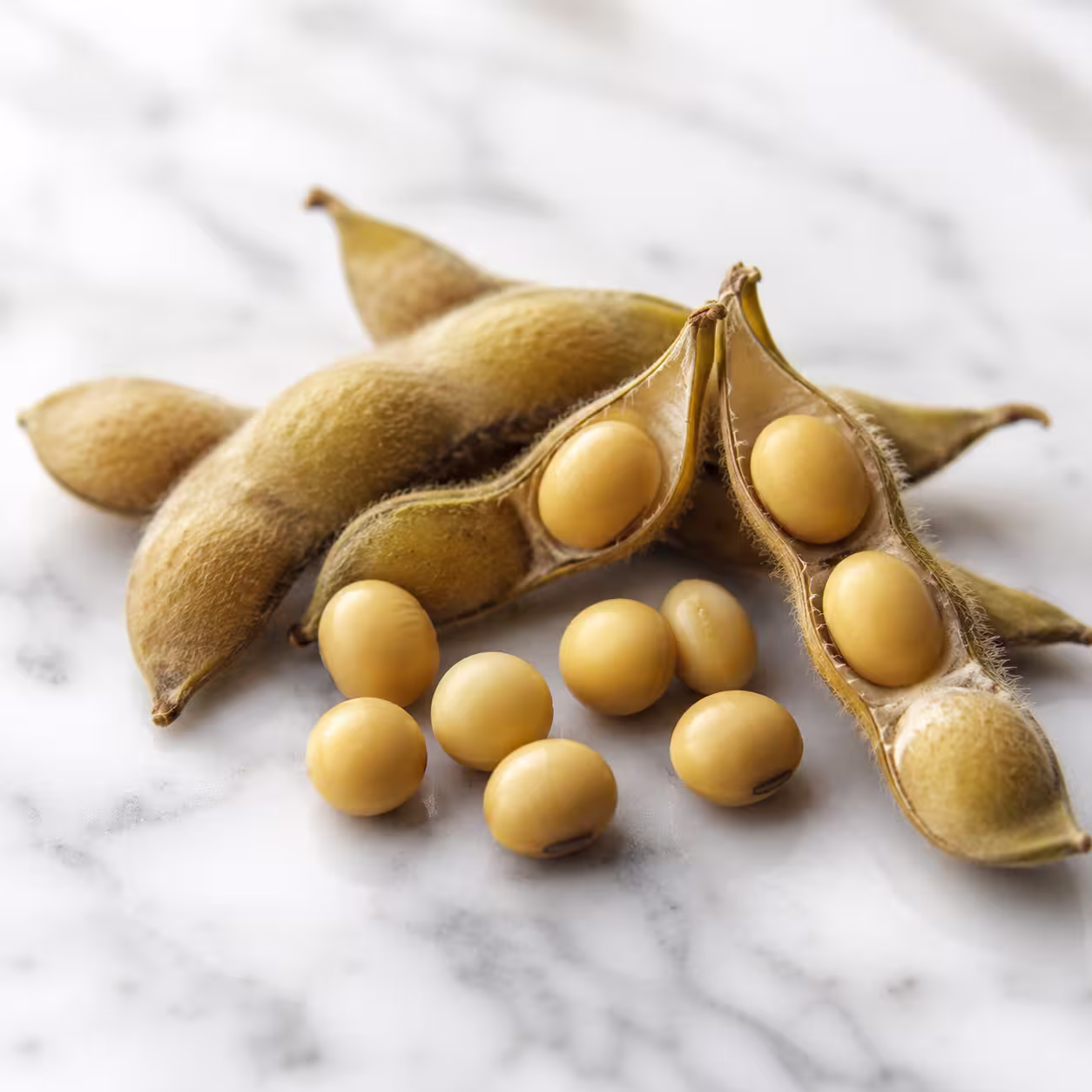 VitaCholine®