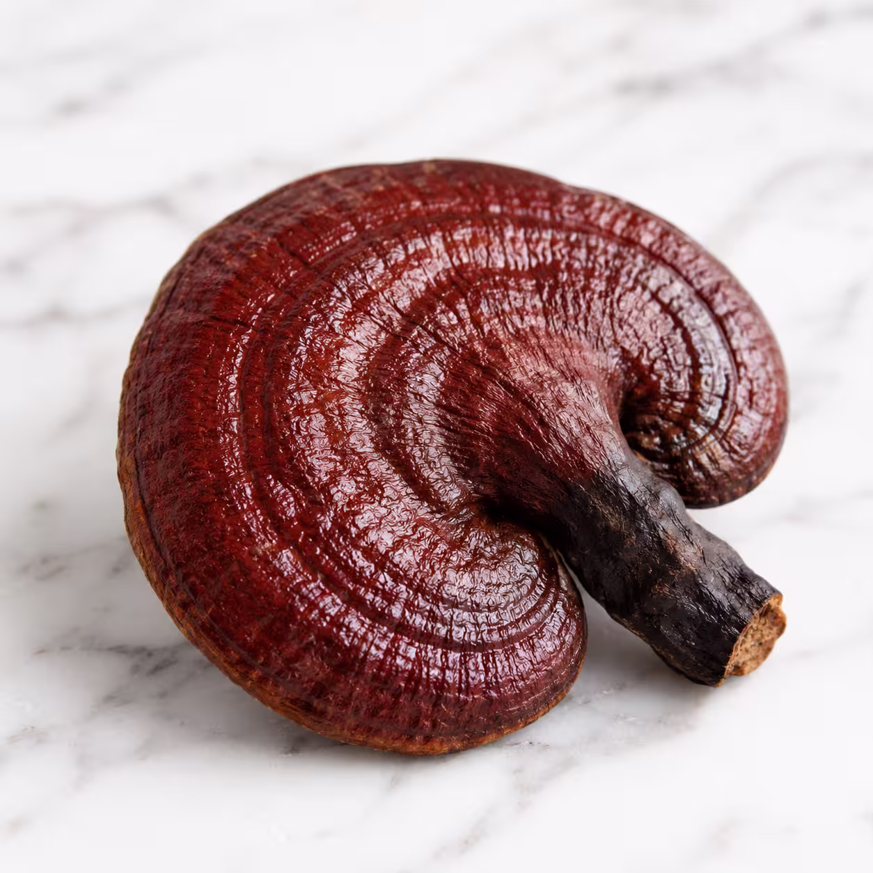 Reishi Mushroom