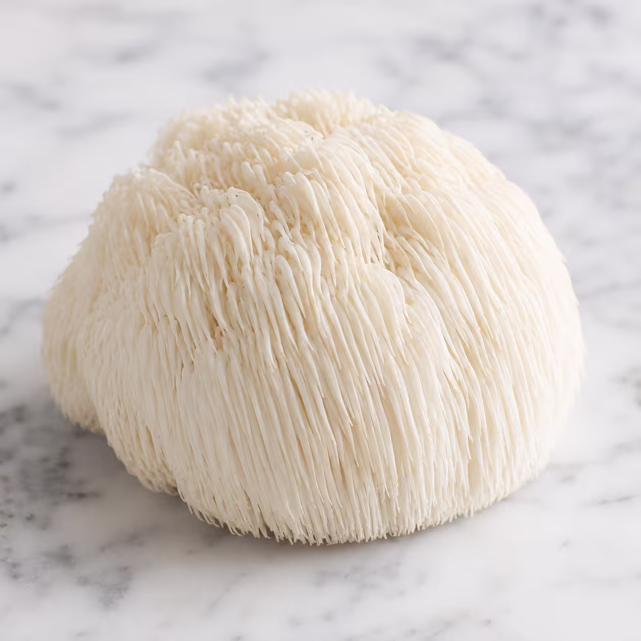 Lion's Mane Mushroom