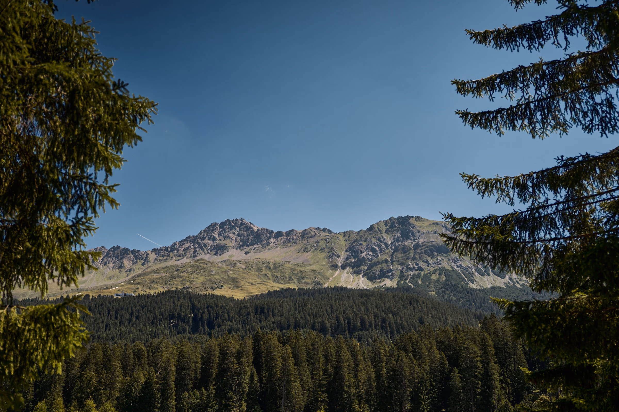 View of the mountain ranges of the Lenzerheide region and the Parpaner Rothorn in summer