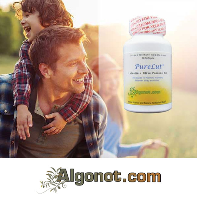Algonot image