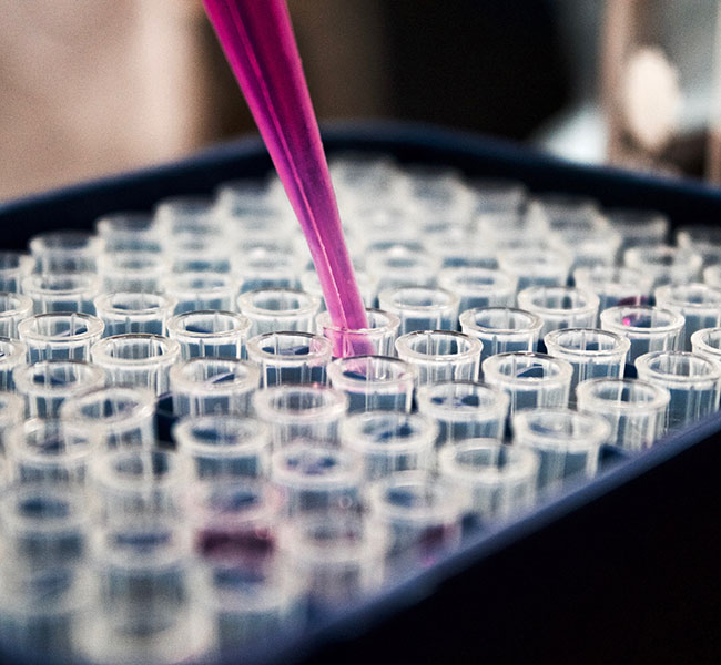 Biological research image