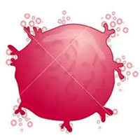 Mast cell icon
