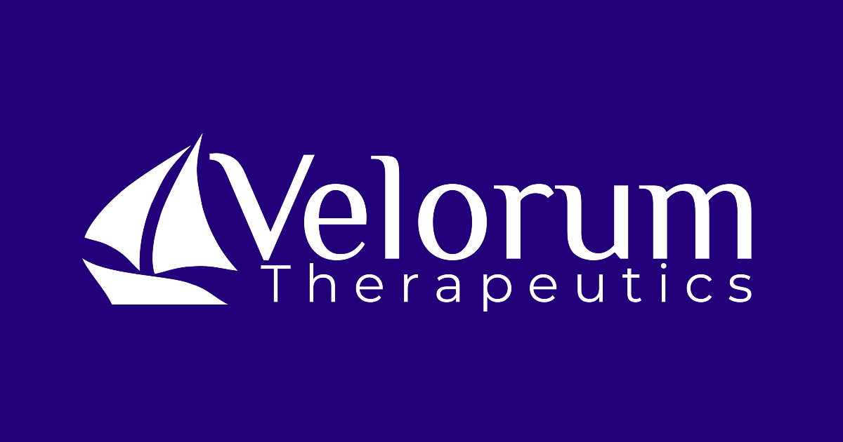 Velorum Therapeutics Unlocking the Biology of Heme logo