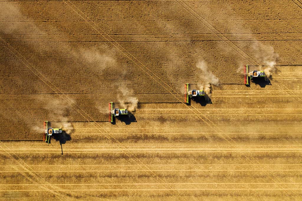 Mehrwert Standardisierung