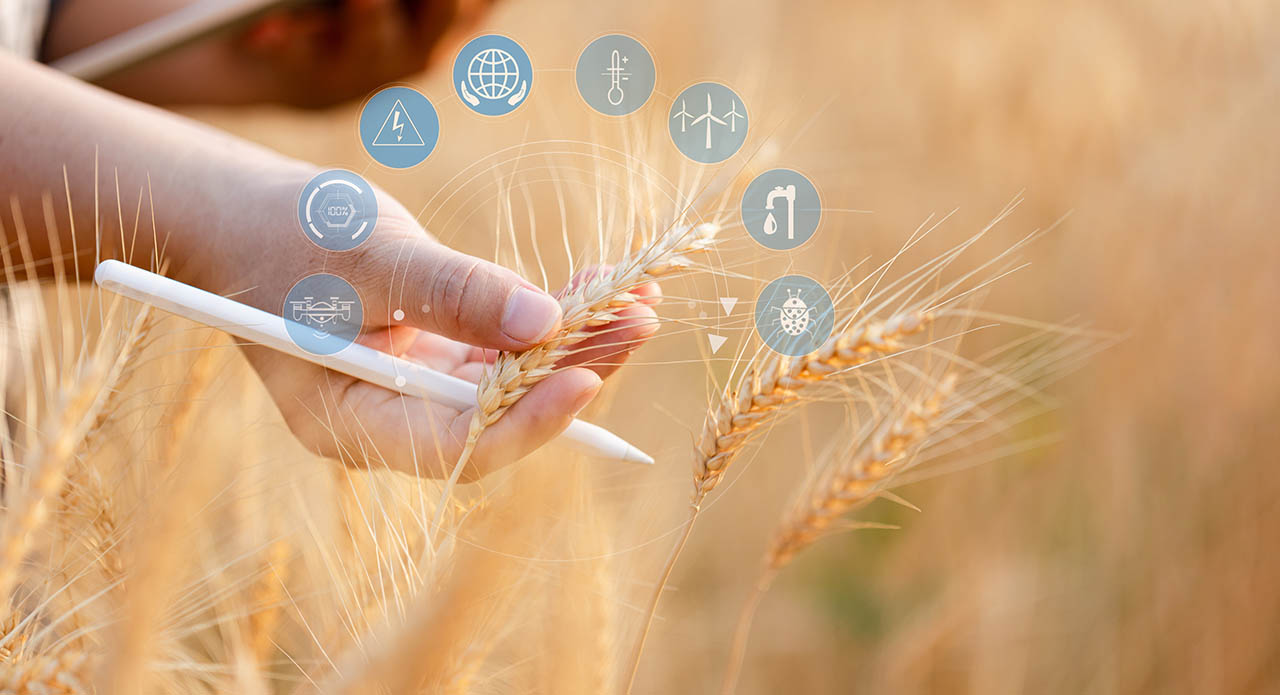 C. Transparenz durch Dashboards