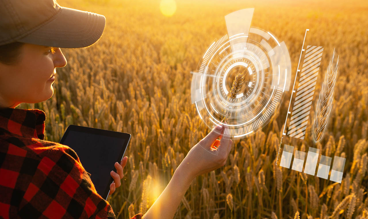 C. Transparenz durch Dashboards