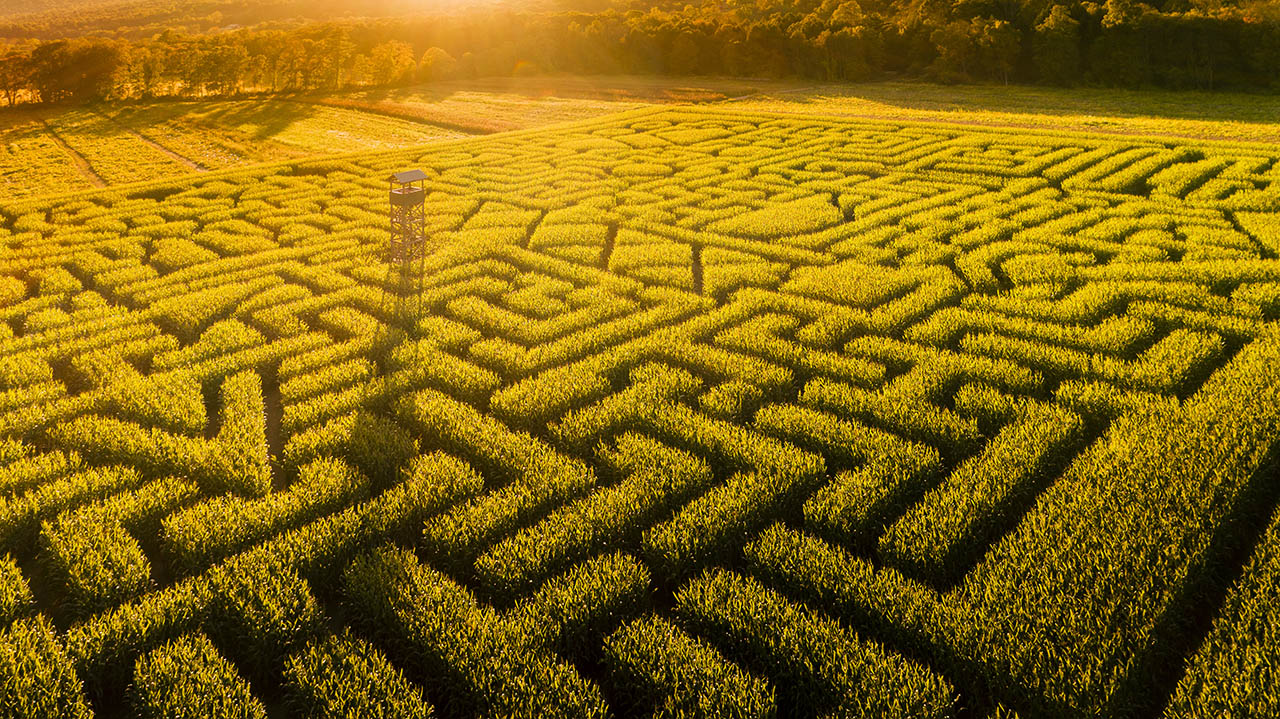 A. Integration bestehender Tools