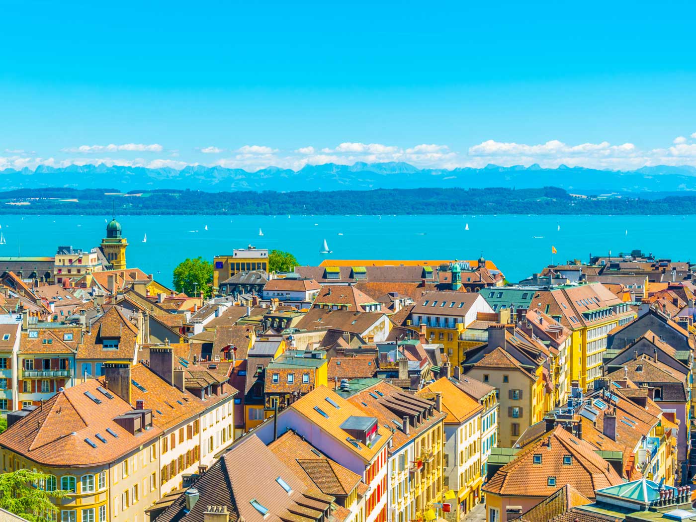 Nid de guêpes sous un store de balcon à Lausanne