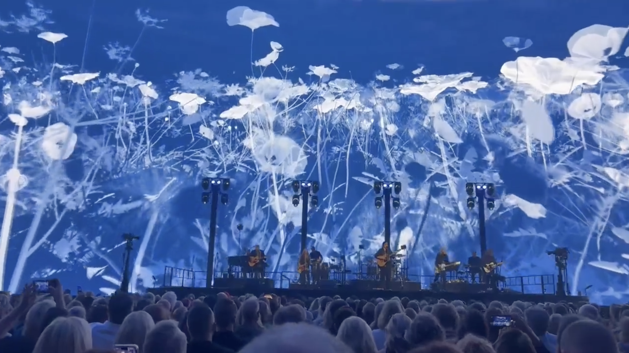 Band performing on stage with ethereal white flower projection backdrop