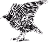 An illustration of a crow opening its wings.