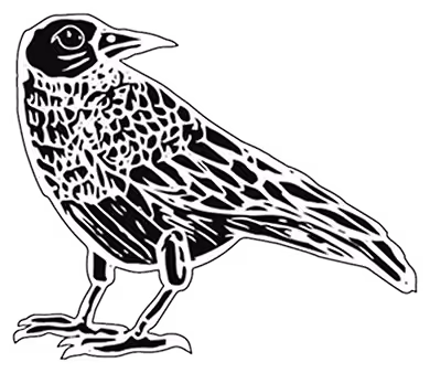 An illustration of a crow looking over its shoulder.