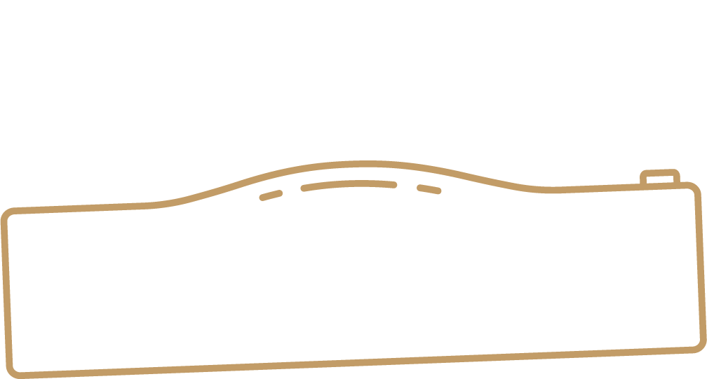 Brand Snapshot Logo. This service provides a "snapshot" or review of your current website's visual and brand elements.