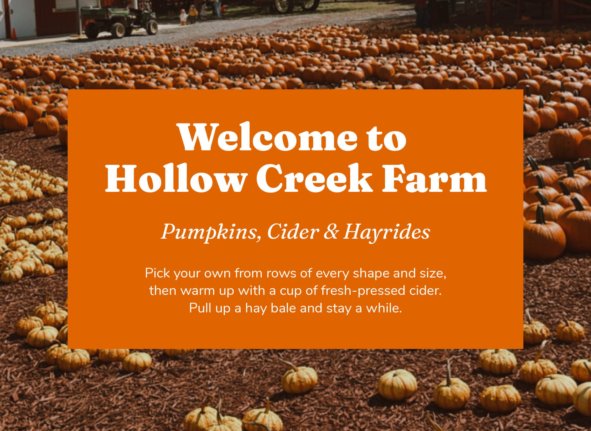 A pumpkin patch has a orange text box with white text overlaying it. The text reads, "Welcome to Hollow Creek Farm. Pumpkins, Cider & Hayrides. Pick your own from rows of every shape and size, then warm up with a cup of fresh-pressed cider. Pull up a hay bale and stay a while." This is an example of two Google fonts paired together to create a spooky graphic inspired by a pumpkin patch.