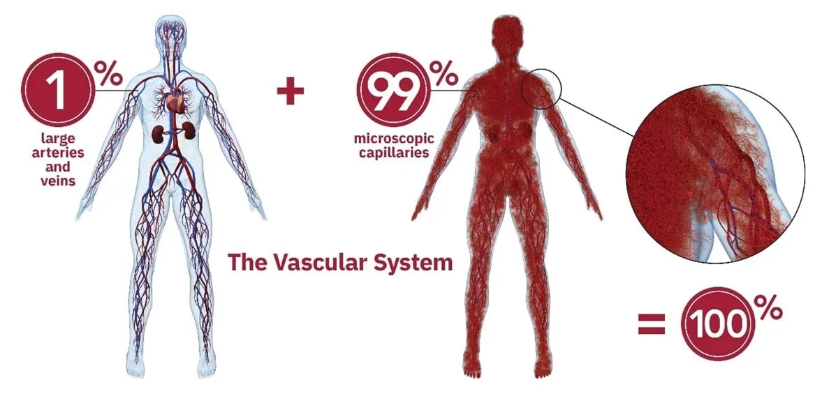 Microvascular Health Solutions