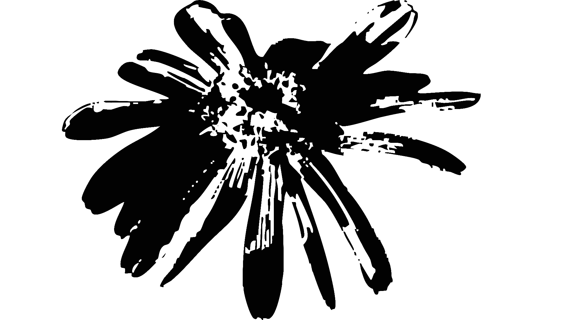 Abstract illustration featuring a large black flower with bold brush-stroke petals at the center, surrounded by smaller outlined daisies and detailed citrus slice drawings on a bright yellow background.
