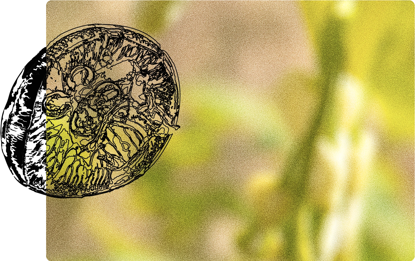 A softly blurred photo of green and yellow plant stems fills the center, with a large, detailed black line drawing of a jellyfish overlaying the left edge, all framed within a rounded rectangle against a yellow background.