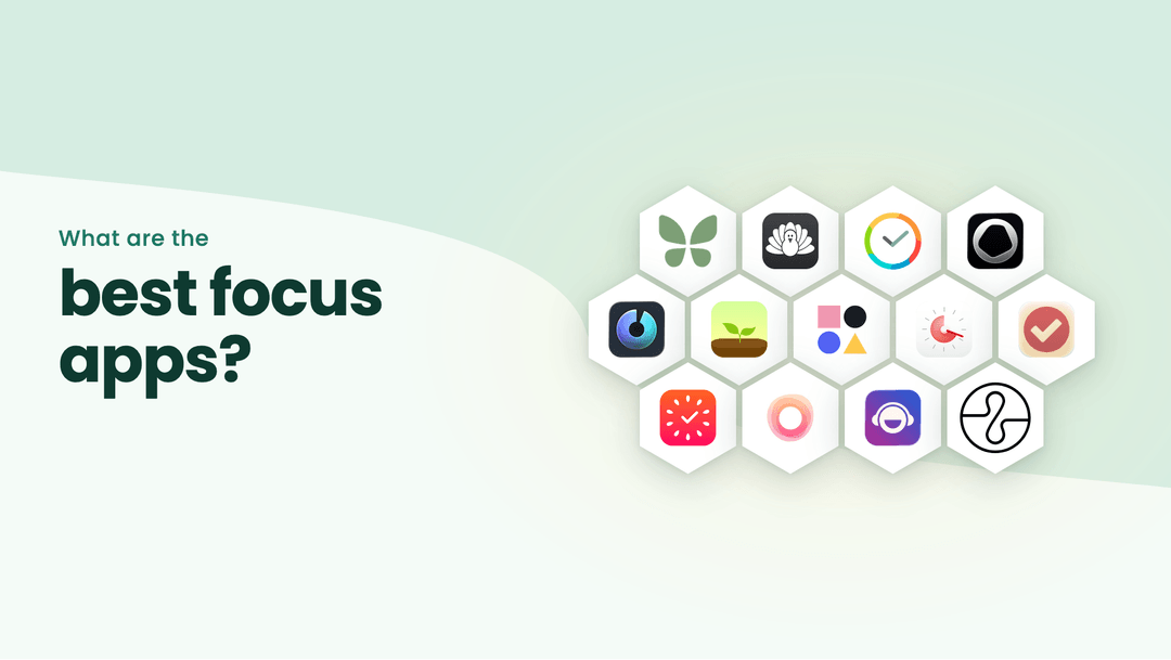 Focus Platform 12 Best Online Collaboration Platforms (2026 Comparison) | Reclaim
