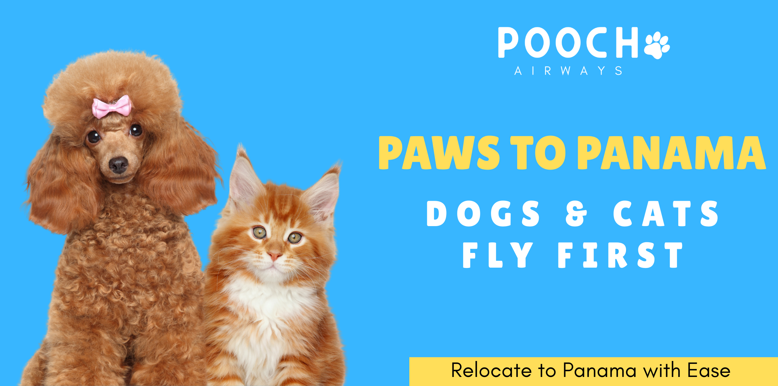 ✈️🐾 Introducing Paws to Panama: Stress-Free Relocation Flights for You and Your Dog