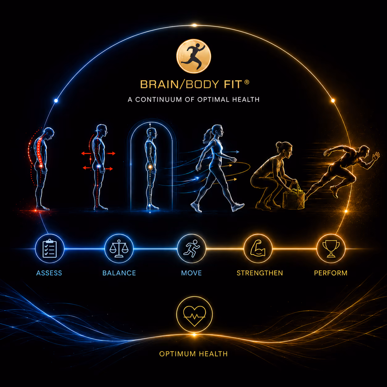 Illustration of health stages: assess posture, balance, move, strengthen, perform for optimum health.