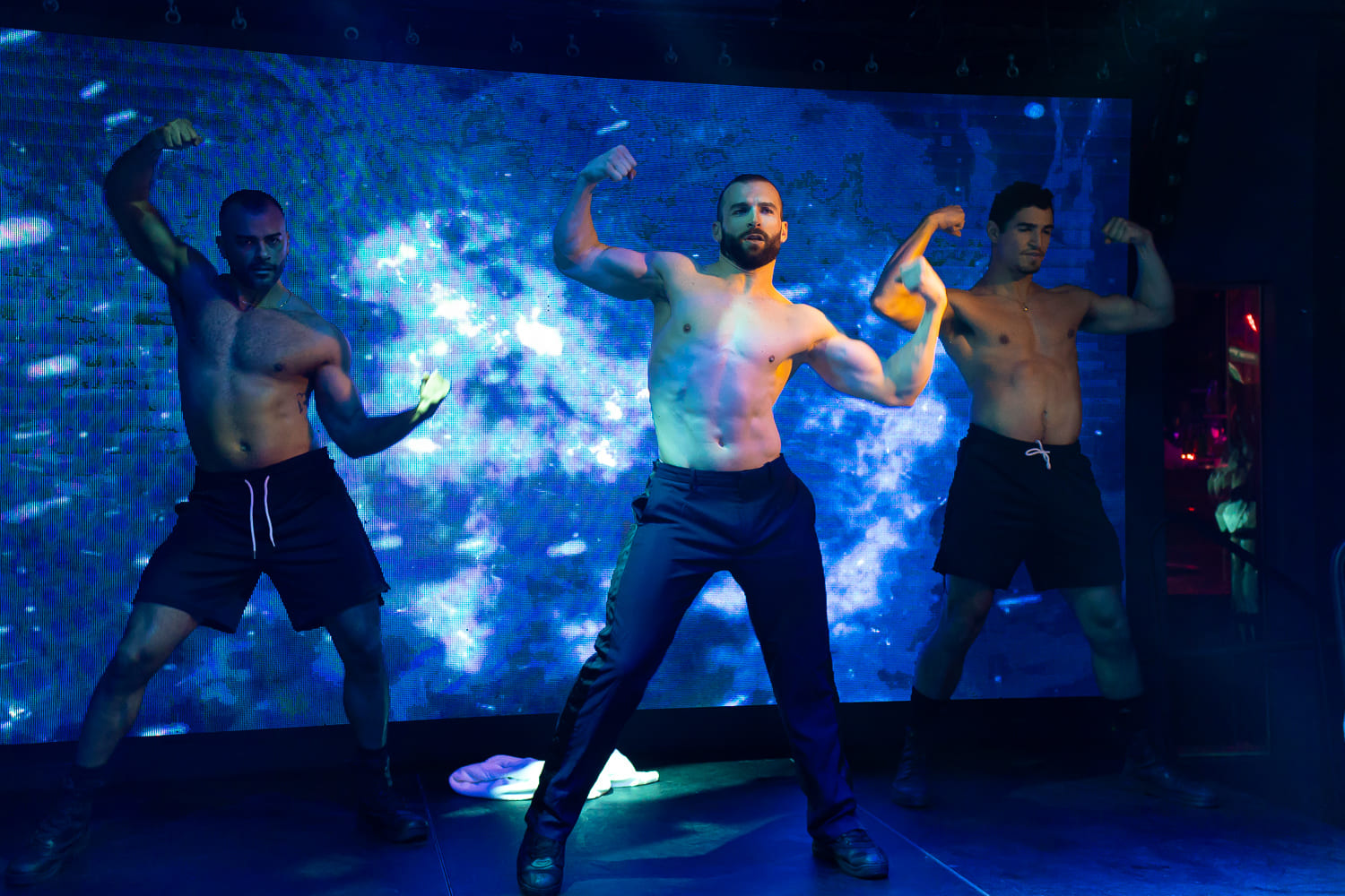 Brolesque