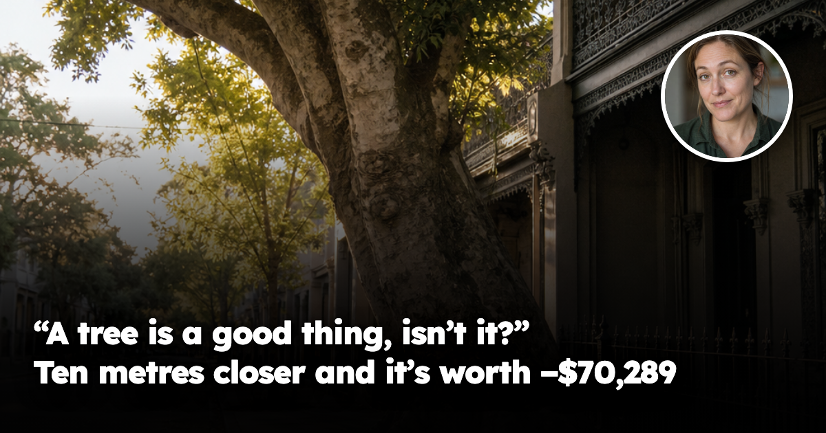 A large mature street tree on a narrow inner-city verge, its roots lifting and cracking the footpath concrete, canopy leaning over the roofline of the Victorian terrace directly behind it in late afternoon light.