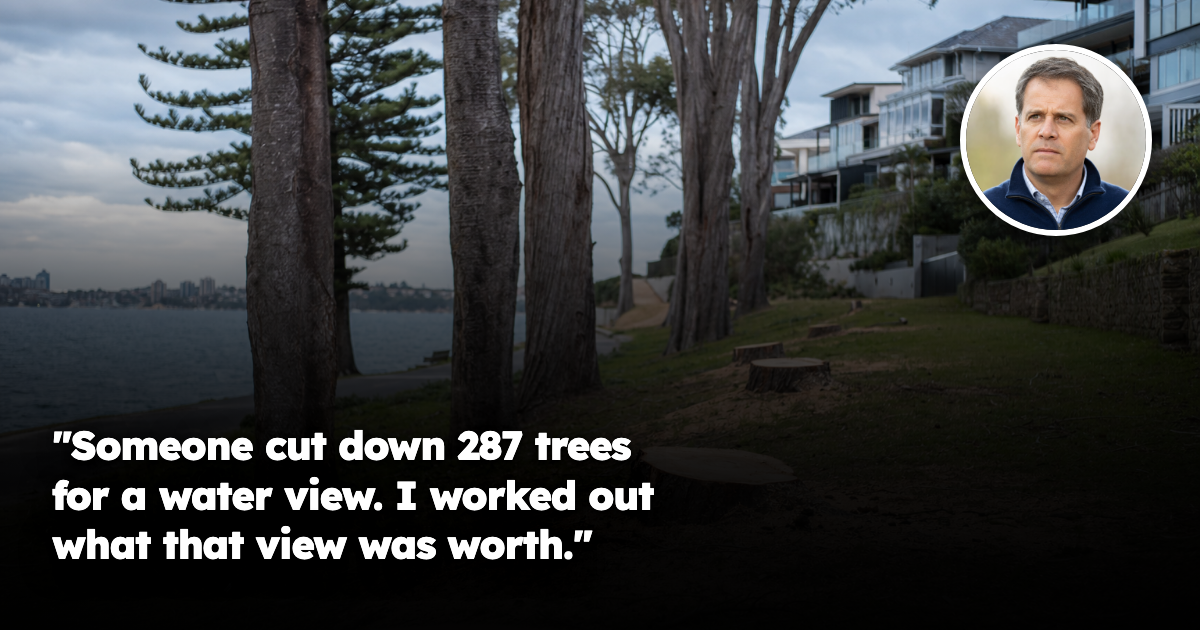 Freshly cut tree stumps on an Australian harbourside foreshore reserve, with water views opening up toward expensive homes on the slope above.