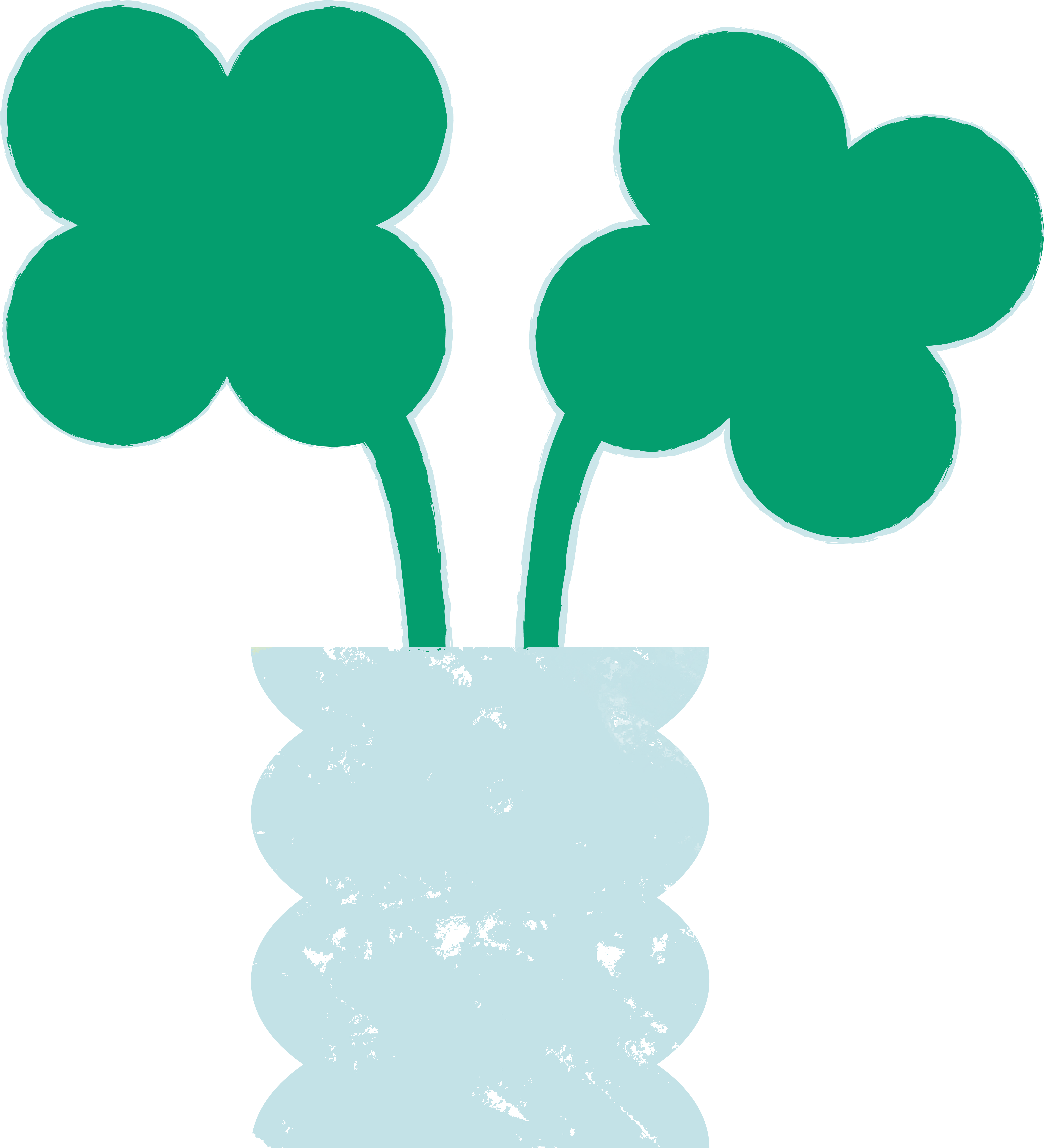 Two green clover-shaped plants in a light blue vase with black speckles.