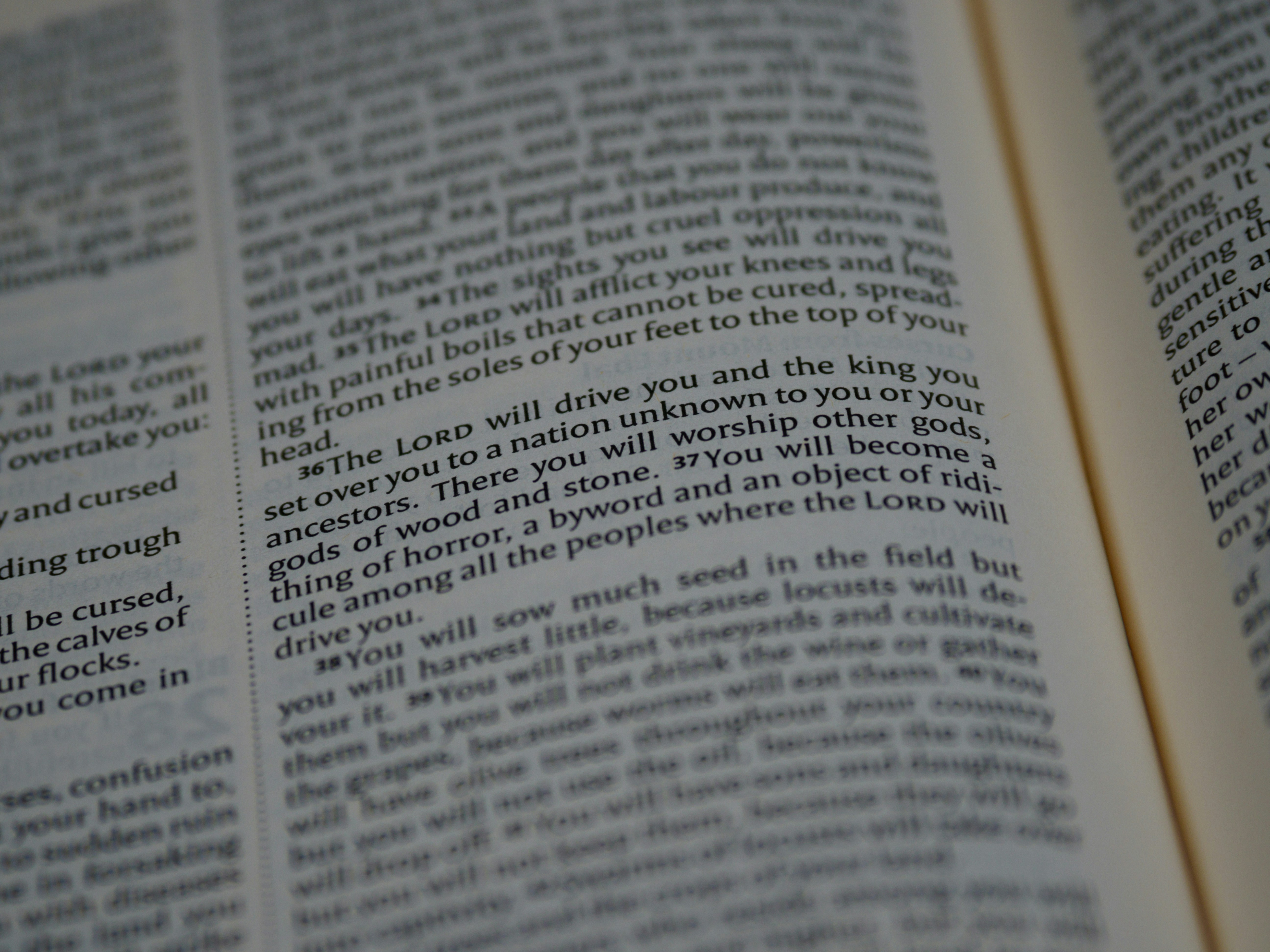 Recherche de mots-clés