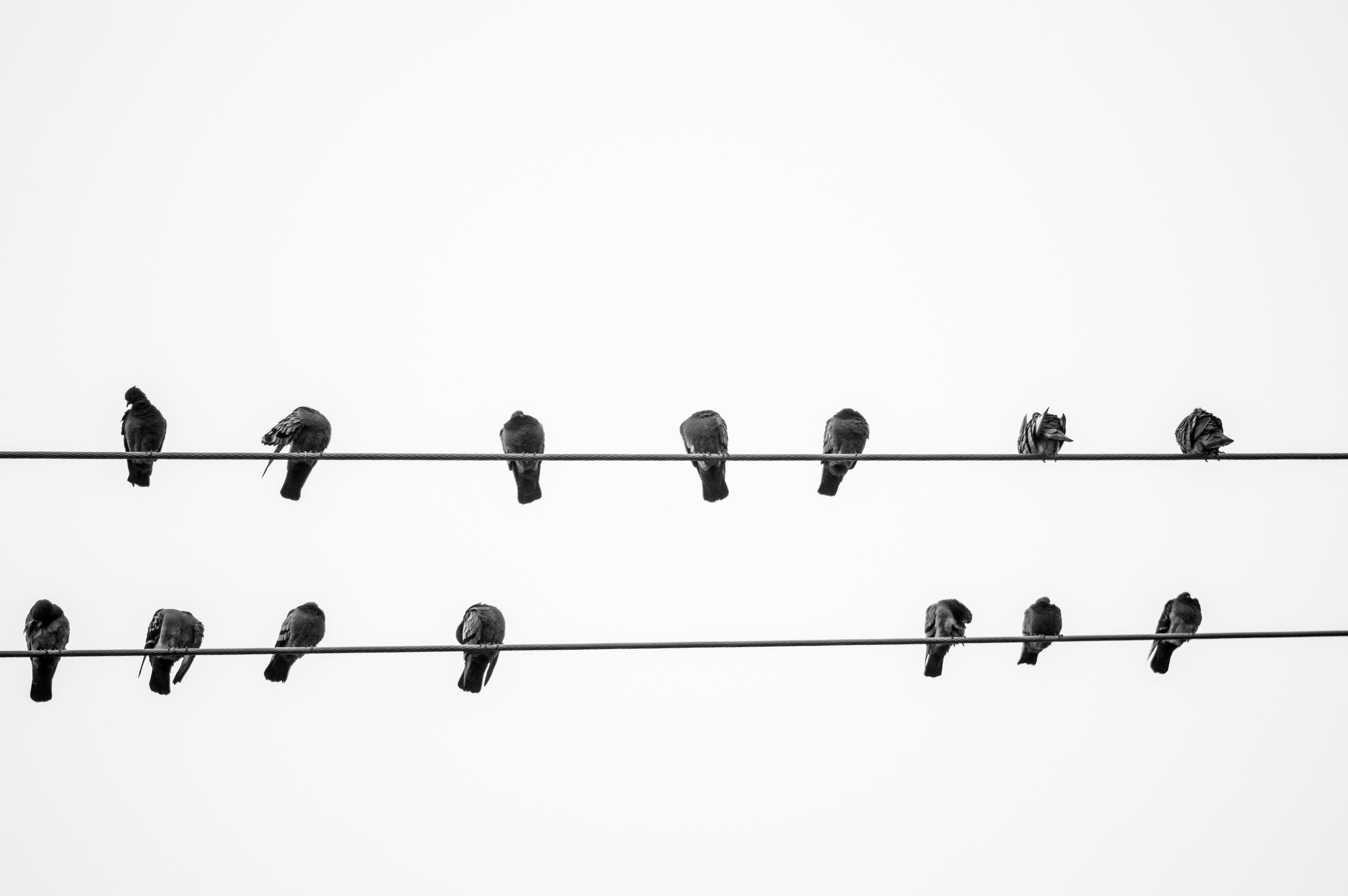 Graphique montrant l'importance des liens