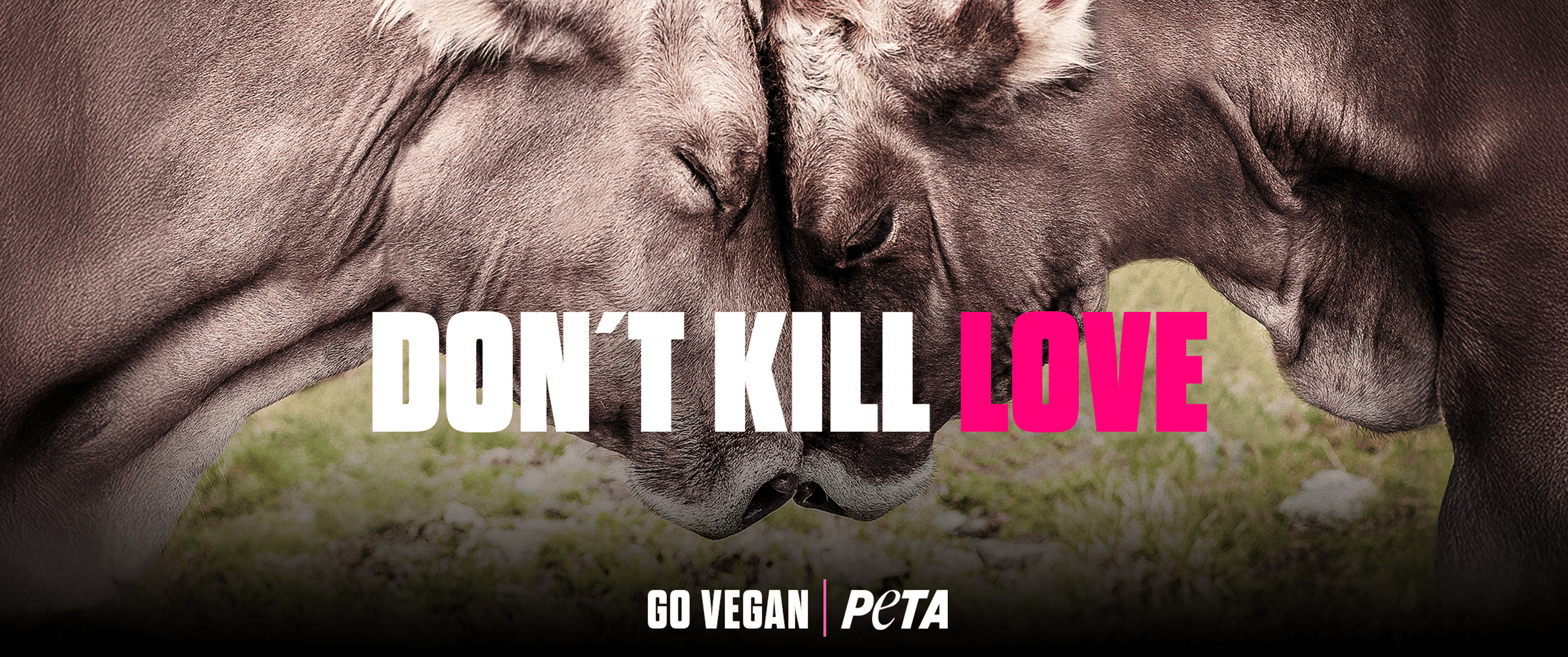 peta