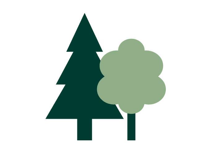 Für unsere Druckprodukte werden keine Naturwälder gerodet