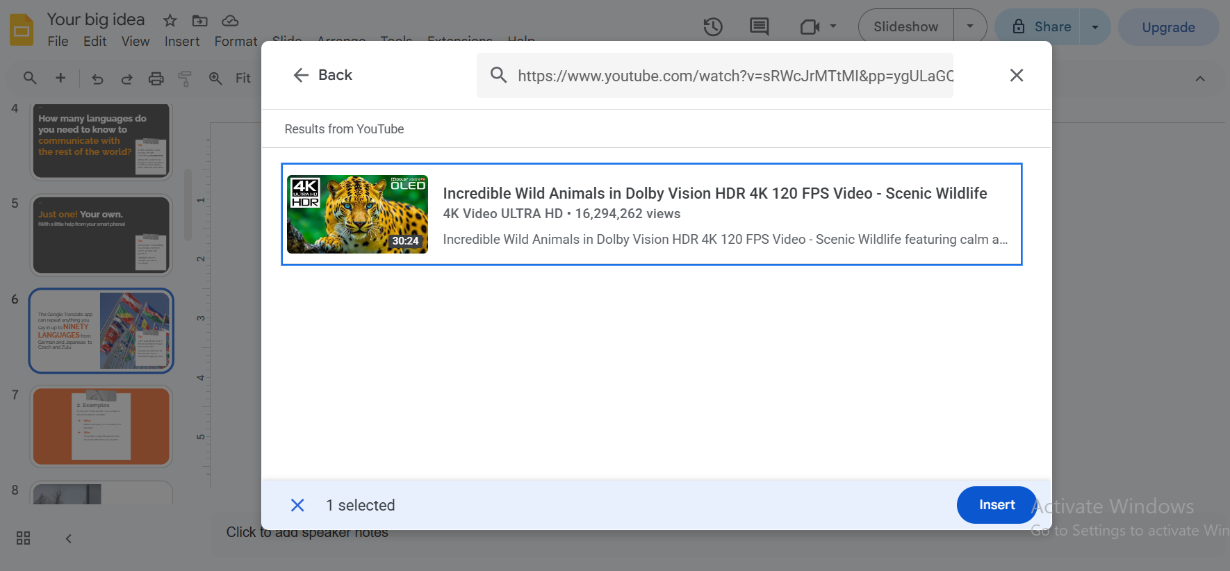 YouTube URL input field